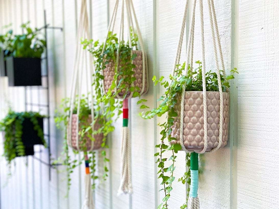 21 Free Macrame Plant Hanger Patterns - Sarah Maker