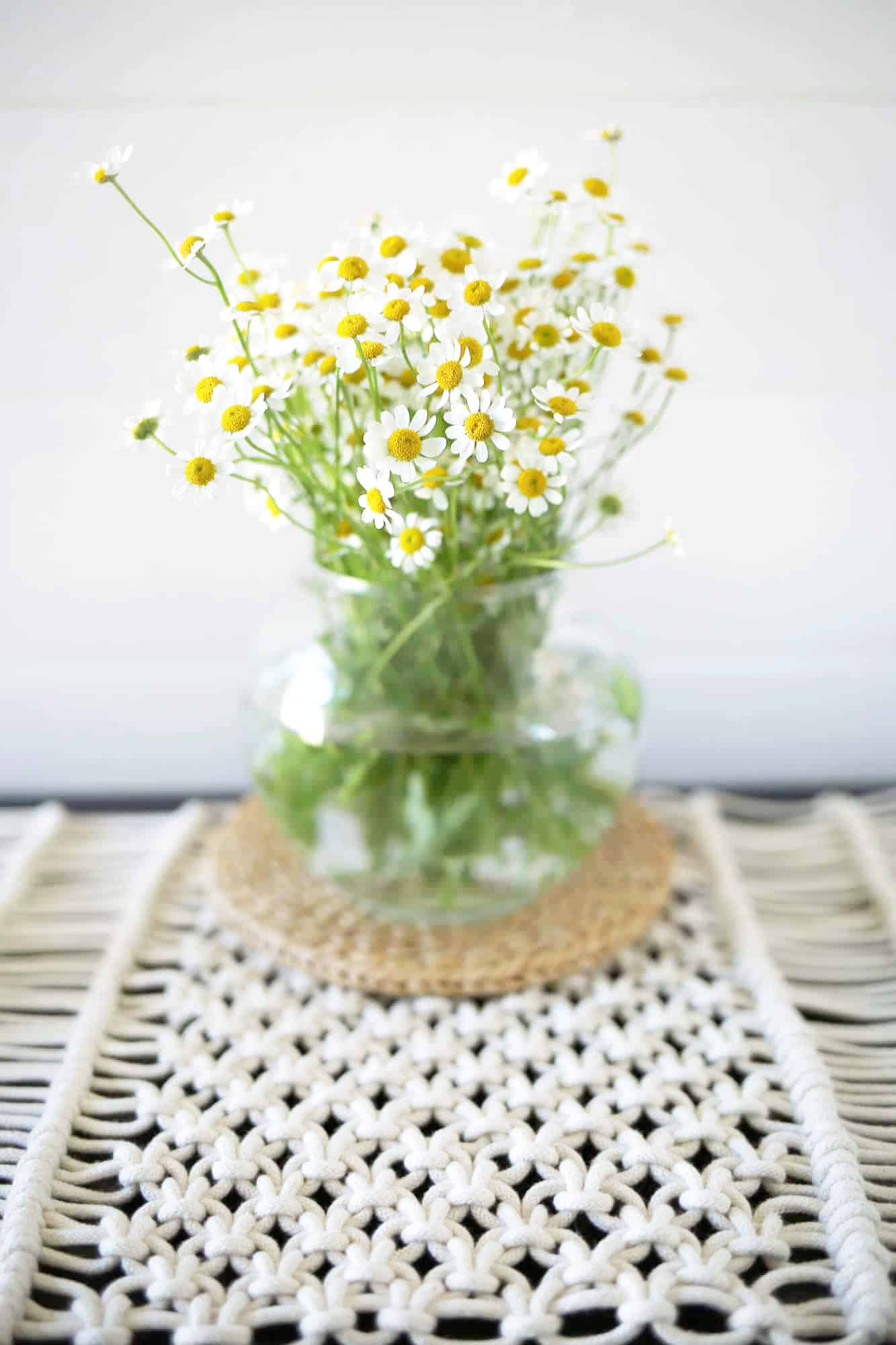 25 Free Macrame Patterns for All Skill Levels - Sarah Maker