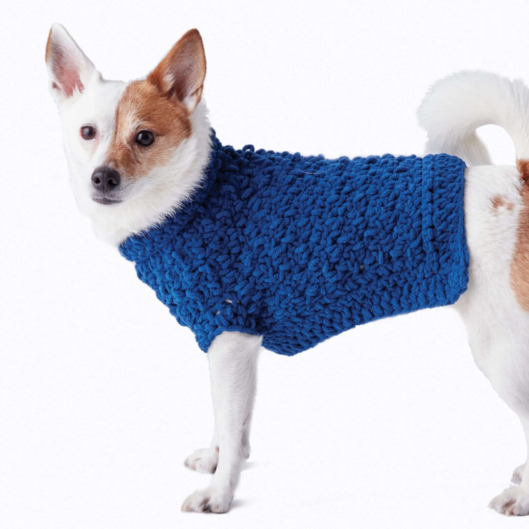 27 Free Crochet Dog Sweater Patterns Sarah Maker