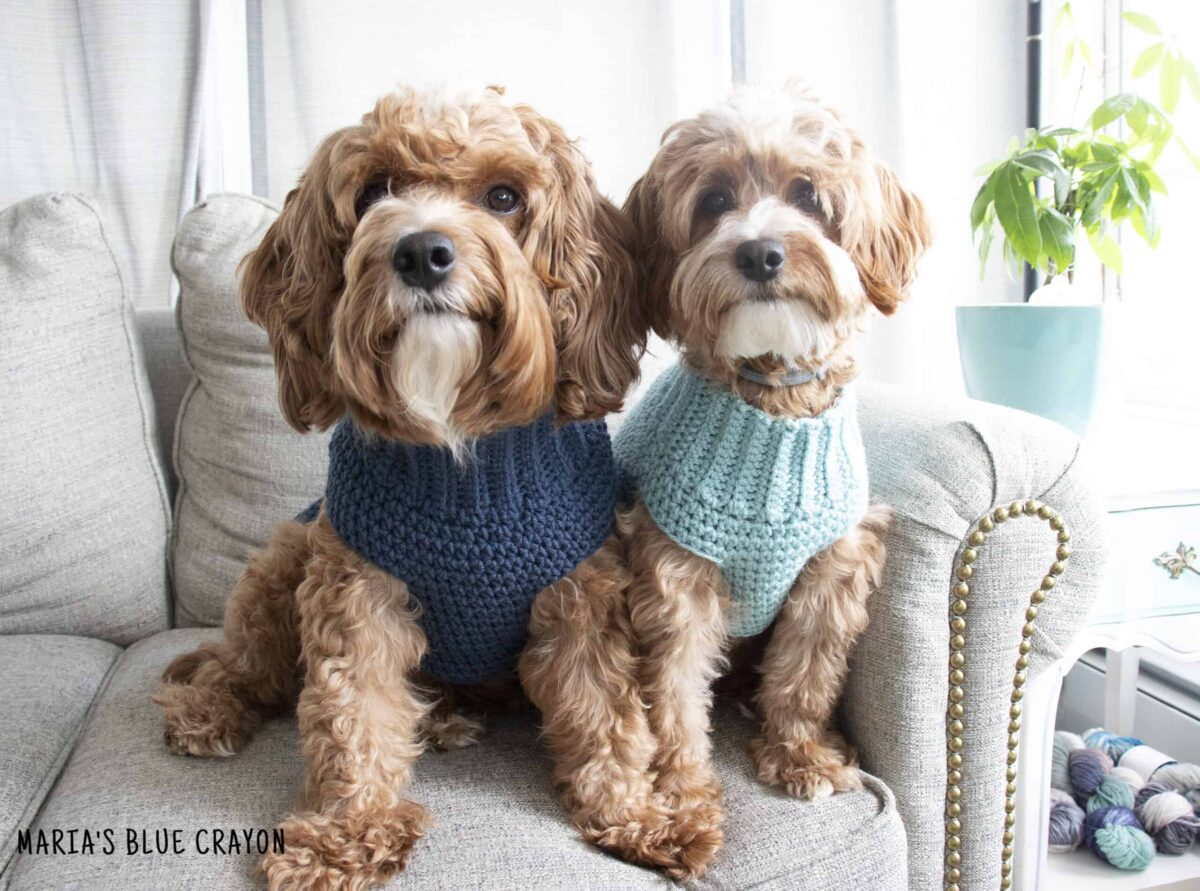 27 Free Crochet Dog Sweater Patterns Sarah Maker