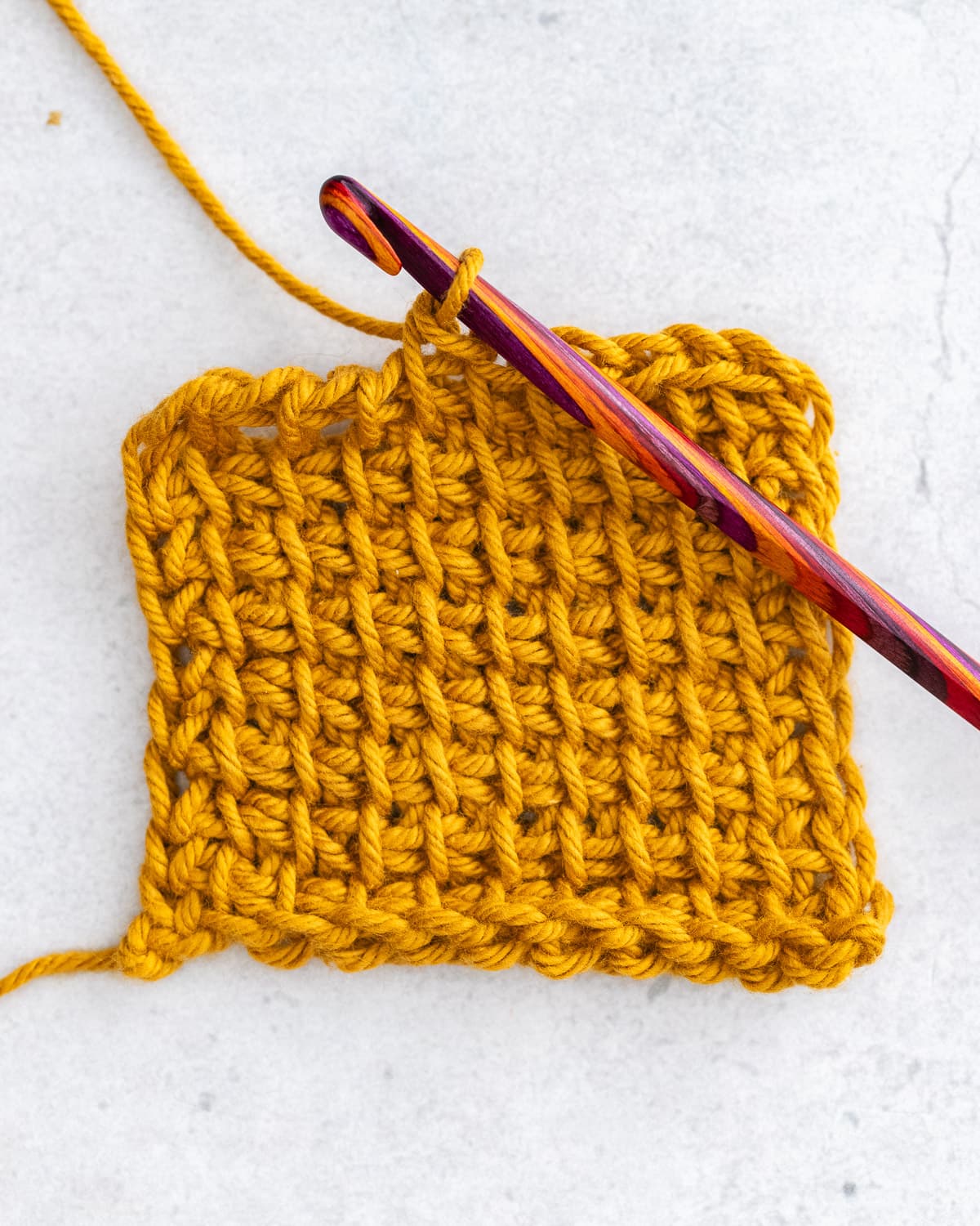 How to Tunisian Crochet Complete Beginner's Guide Sarah Maker